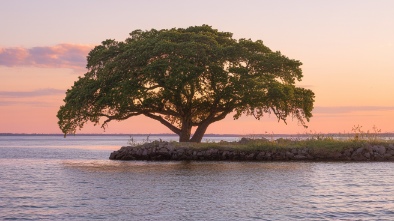 island grove regional park